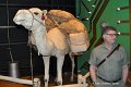 2040_DSC_3520 r